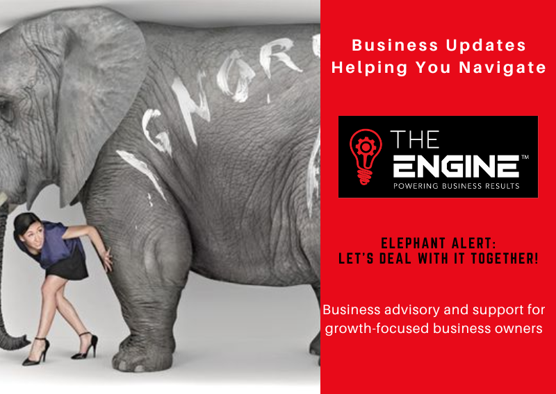 Elephant Alert: Let’s Deal With It Together!